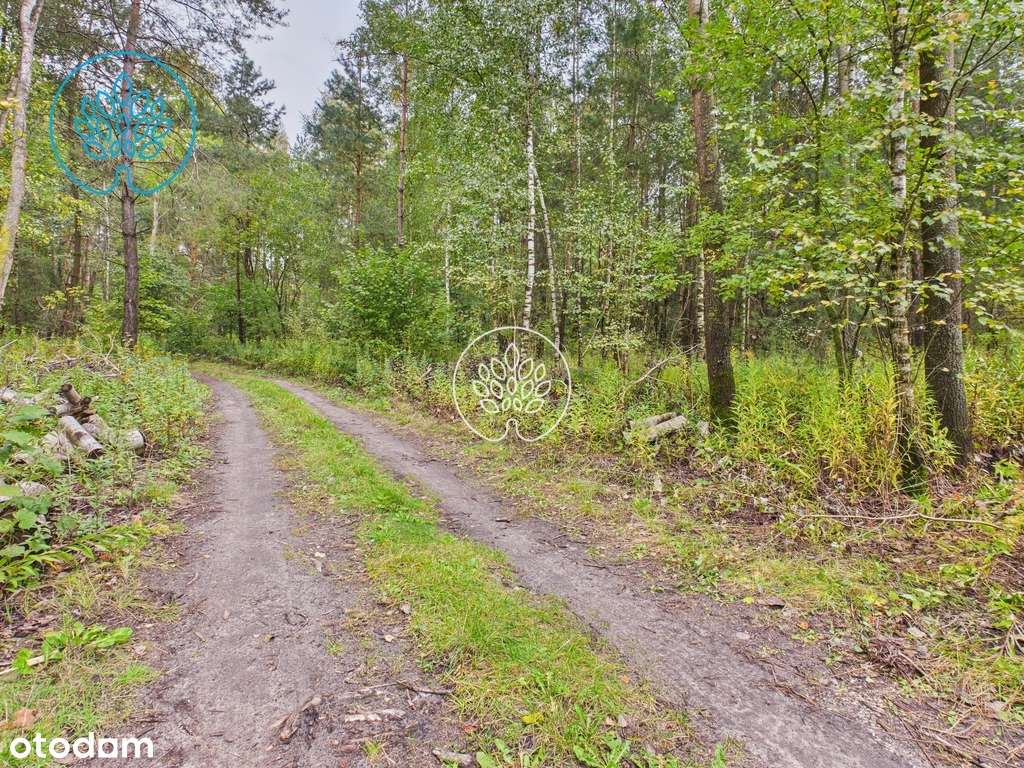 Działka inwestycyjna 34 700 m2 - Pełny obrazek: 4/8