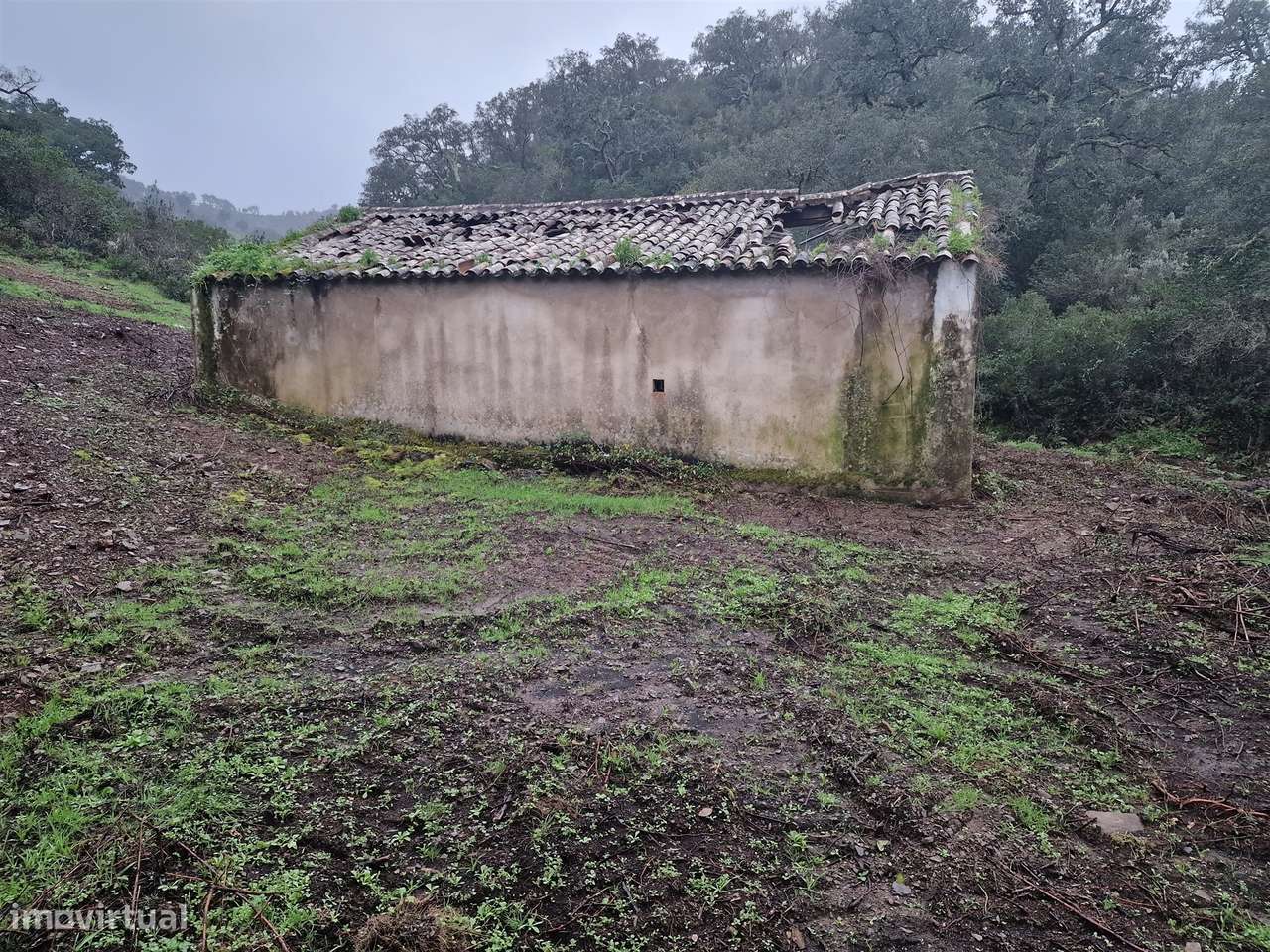 Armazém  Venda em Santa Clara-a-Nova e Gomes Aires,Almodôvar - Grande imagem: 5/10