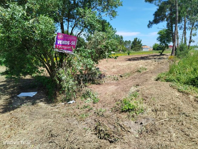 Terreno Urbano à Venda em Ouca – 47 000€-1