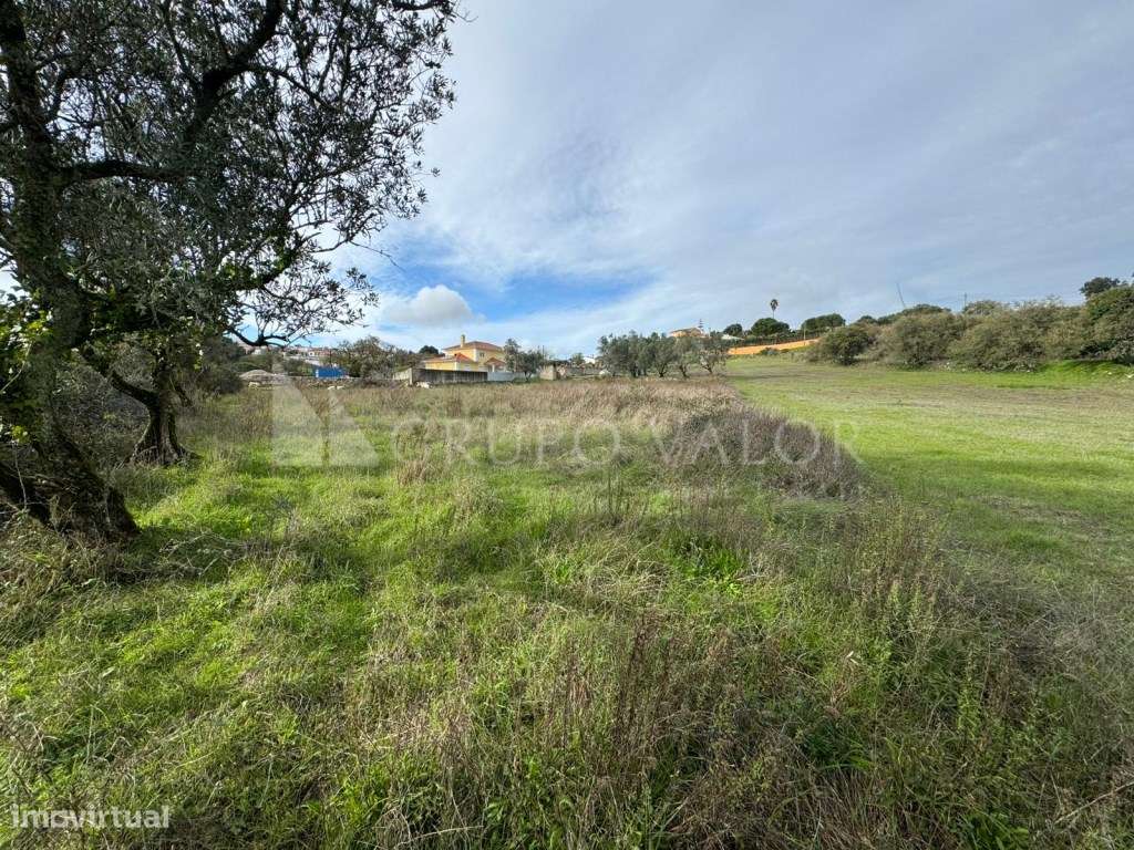 Terreno com 4220m2, em Almornos, Almargem do Bispo-12