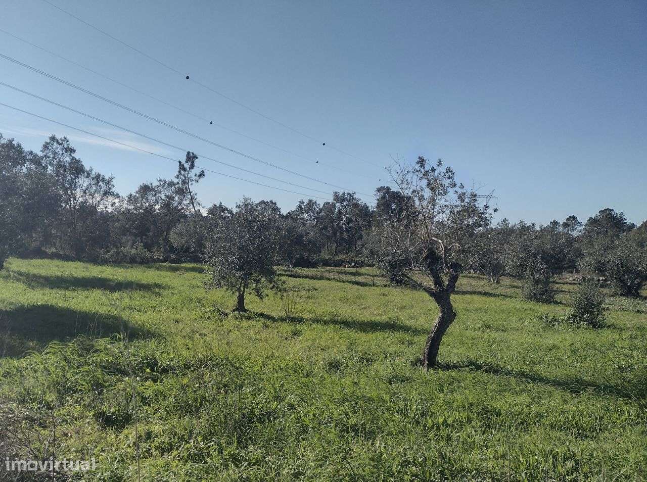 Terreno Rústico localizado em Fátima - Grande imagem: 5/13
