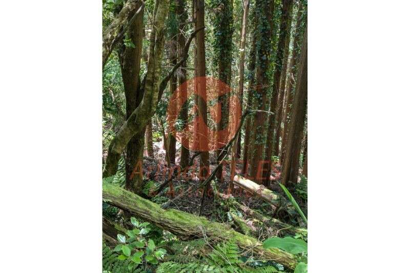 Venda Terreno - Grande imagem: 4/5