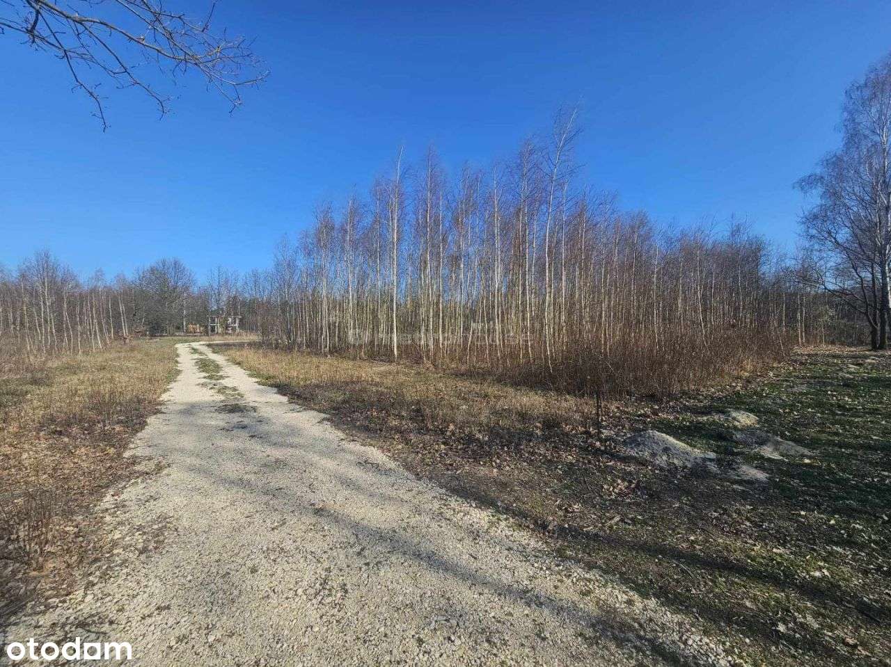 Działka, 2 227 m², Szczaki - Pełny obrazek: 5/8