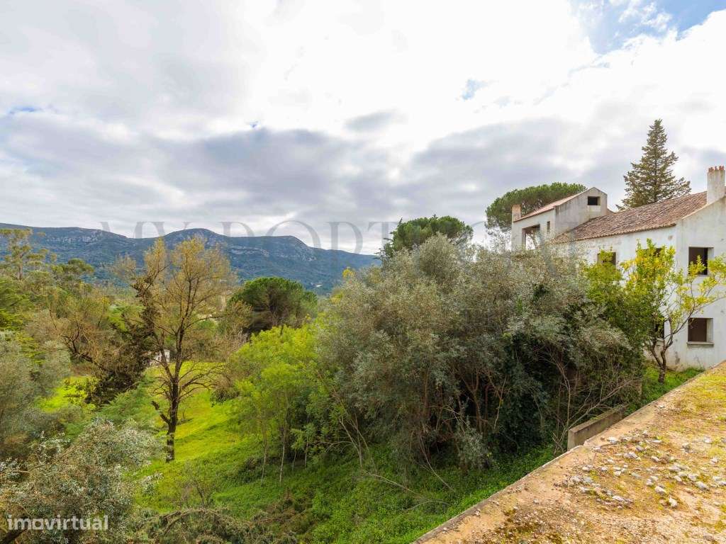 Quinta do Levante: Refúgio de Luxo com Projeto Aprovado no Coração ...-35