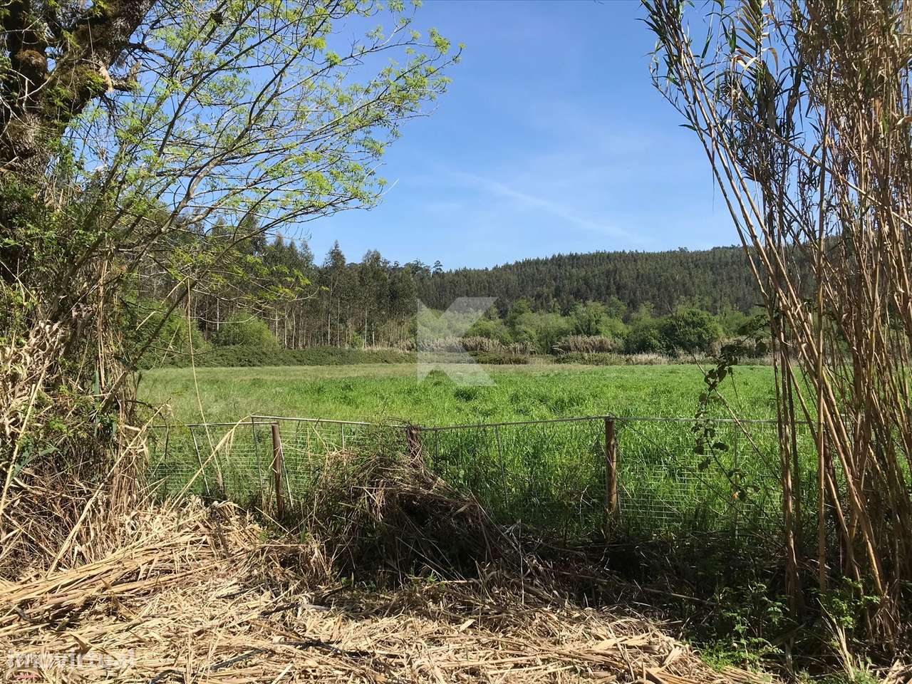 Moradia T7 em Coimbra para restaurar-7