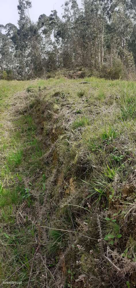 Terreno urbanizável em Sanguedo, Santa Maria da feira-5