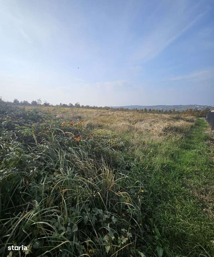 Teren intravilan de vânzare situat în Saldabagiu de Munte! - Imagine principală: 3/9