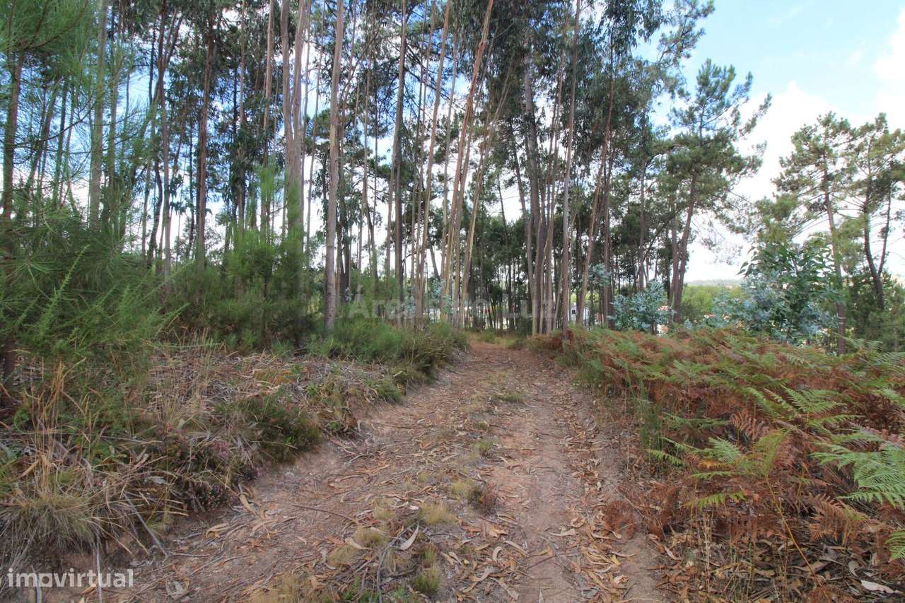 Terreno para Construção - Caranguejeira, Leiria - Grande imagem: 4/7