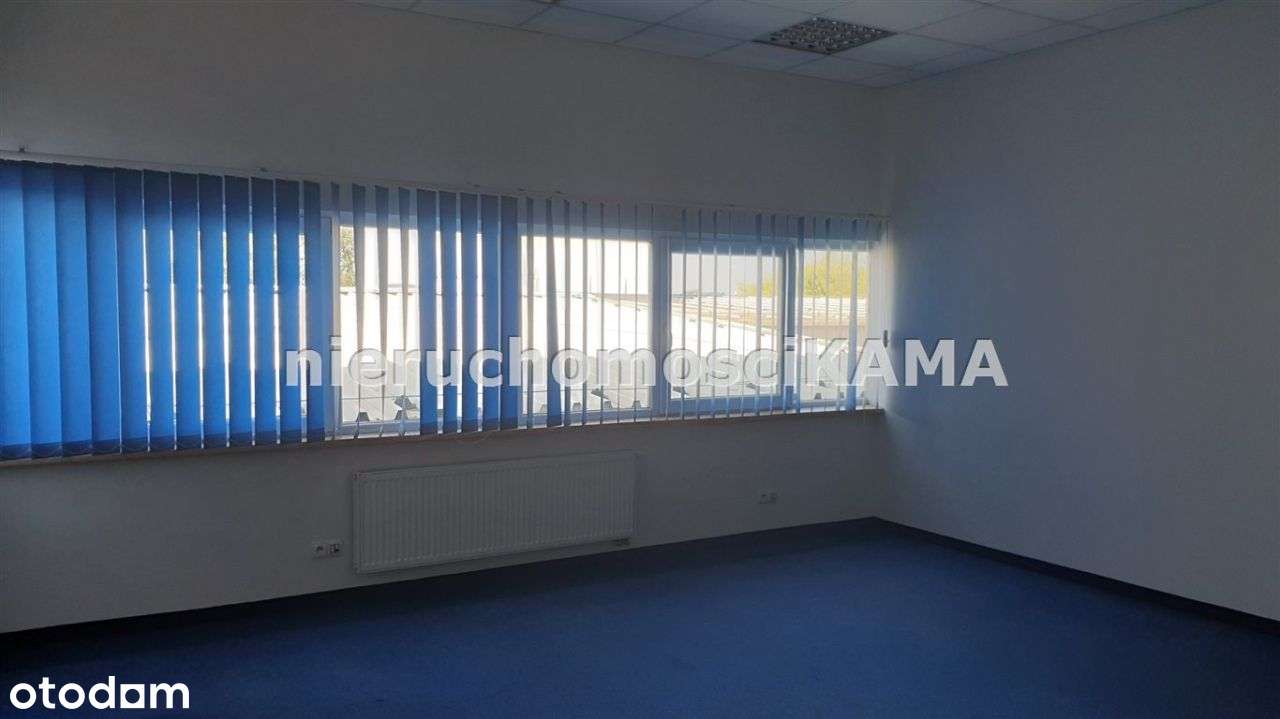 Lokal użytkowy, 202 m², Bielsko-Biała - Pełny obrazek: 5/16