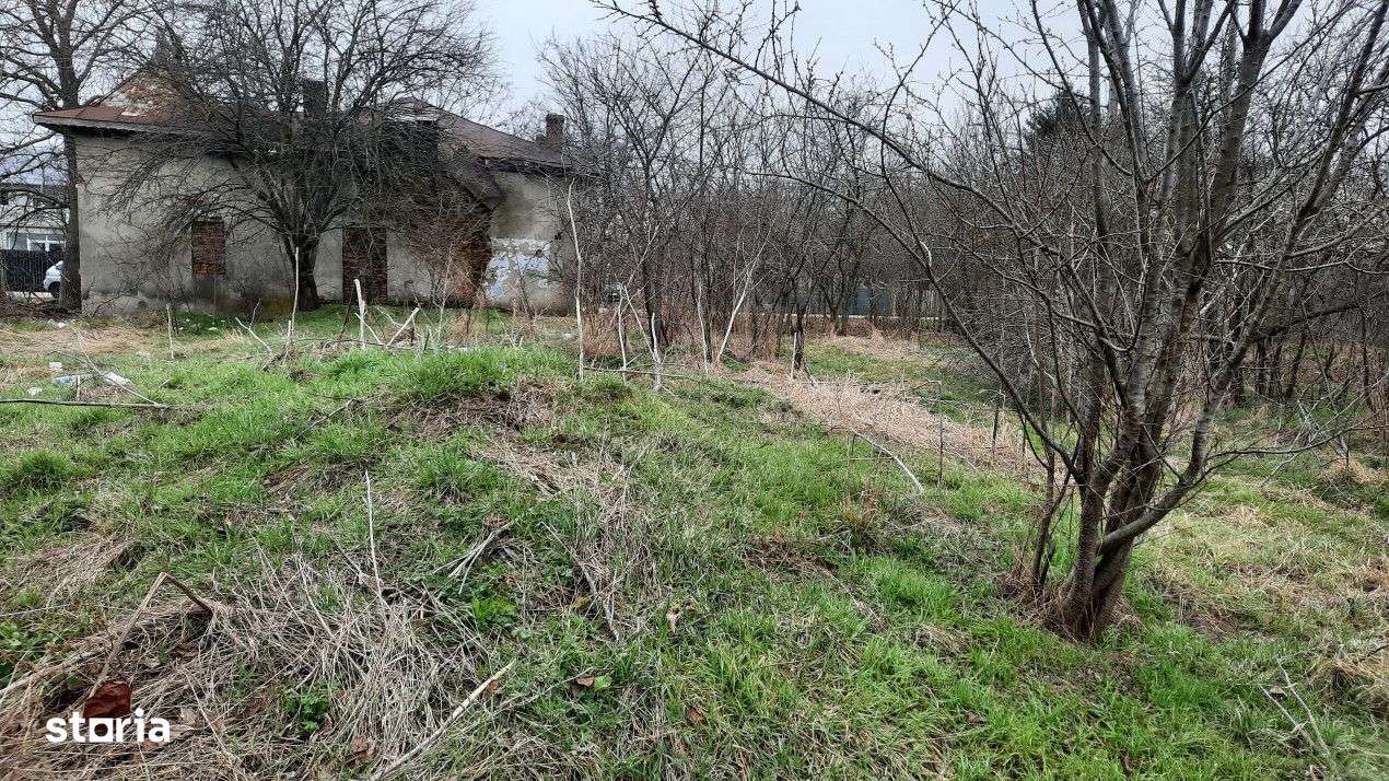 Comision 0 - Vanzare teren in sat Poroinica, com. Matasaru, jud. Dambo - Imagine principală: 4/9