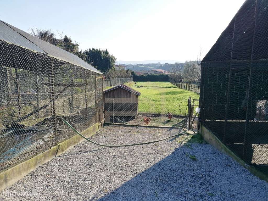 Terreno com 2.430 m² e Ruína em Ribeirão-6