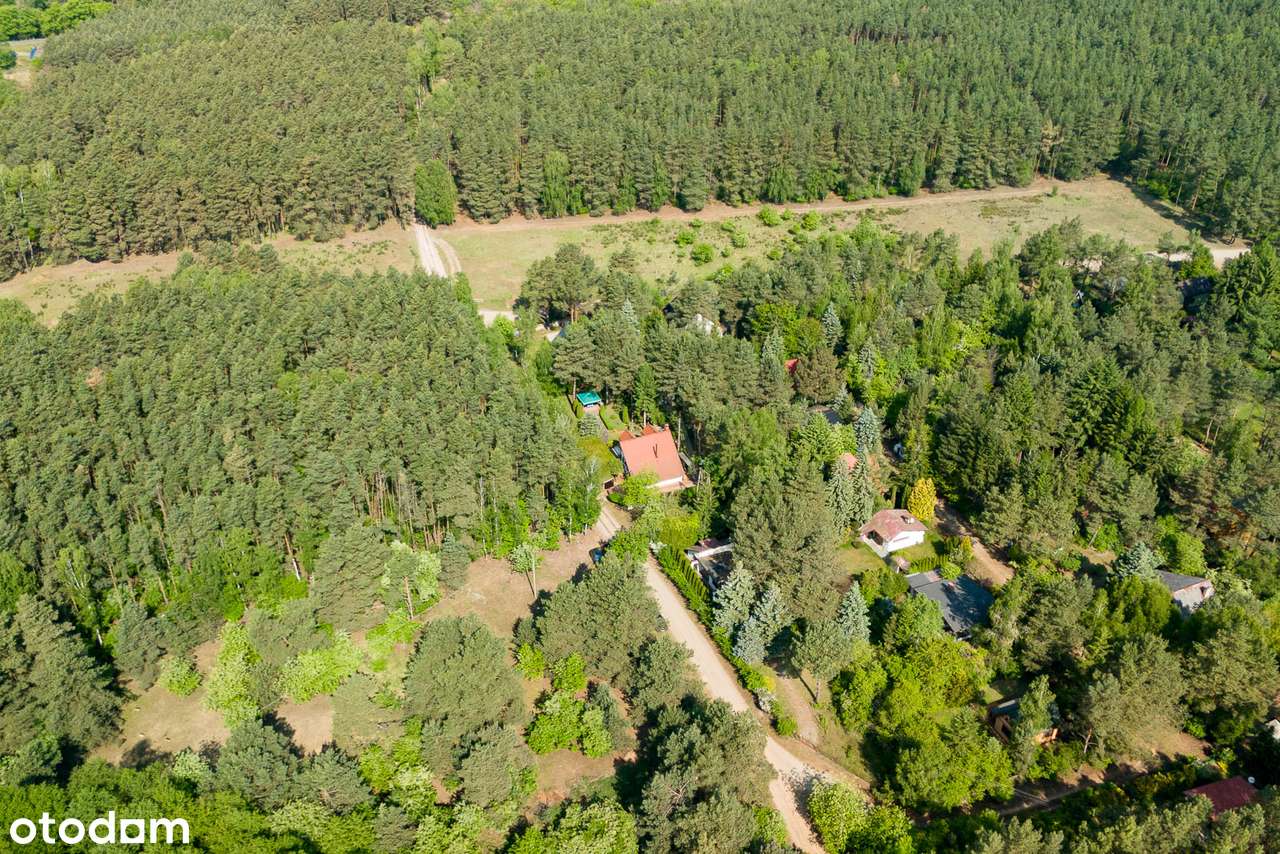 Piękny dom pośród lasu-2