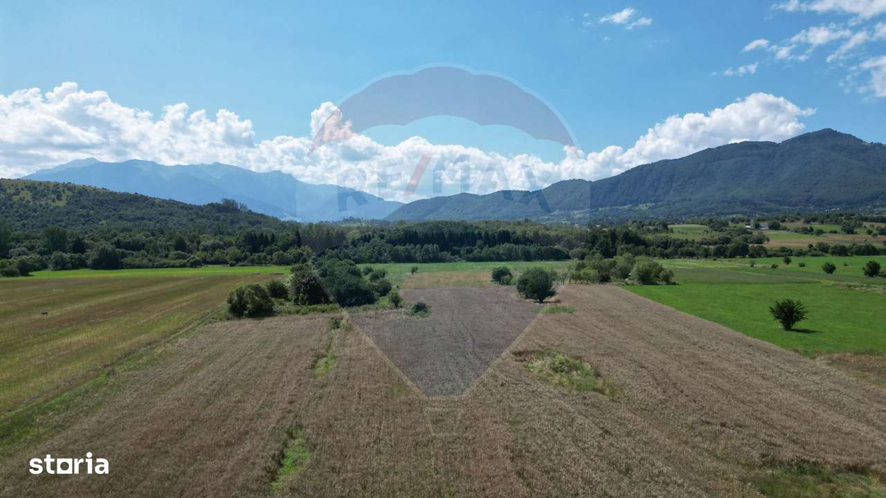 Teren intravilan de vânzare 1180 mp – Zărnești-13