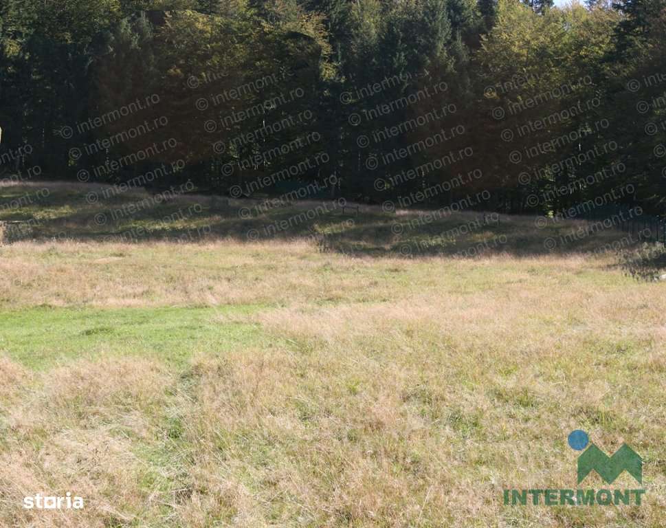 Teren Busteni- intravilan - Imagine principală: 4/8