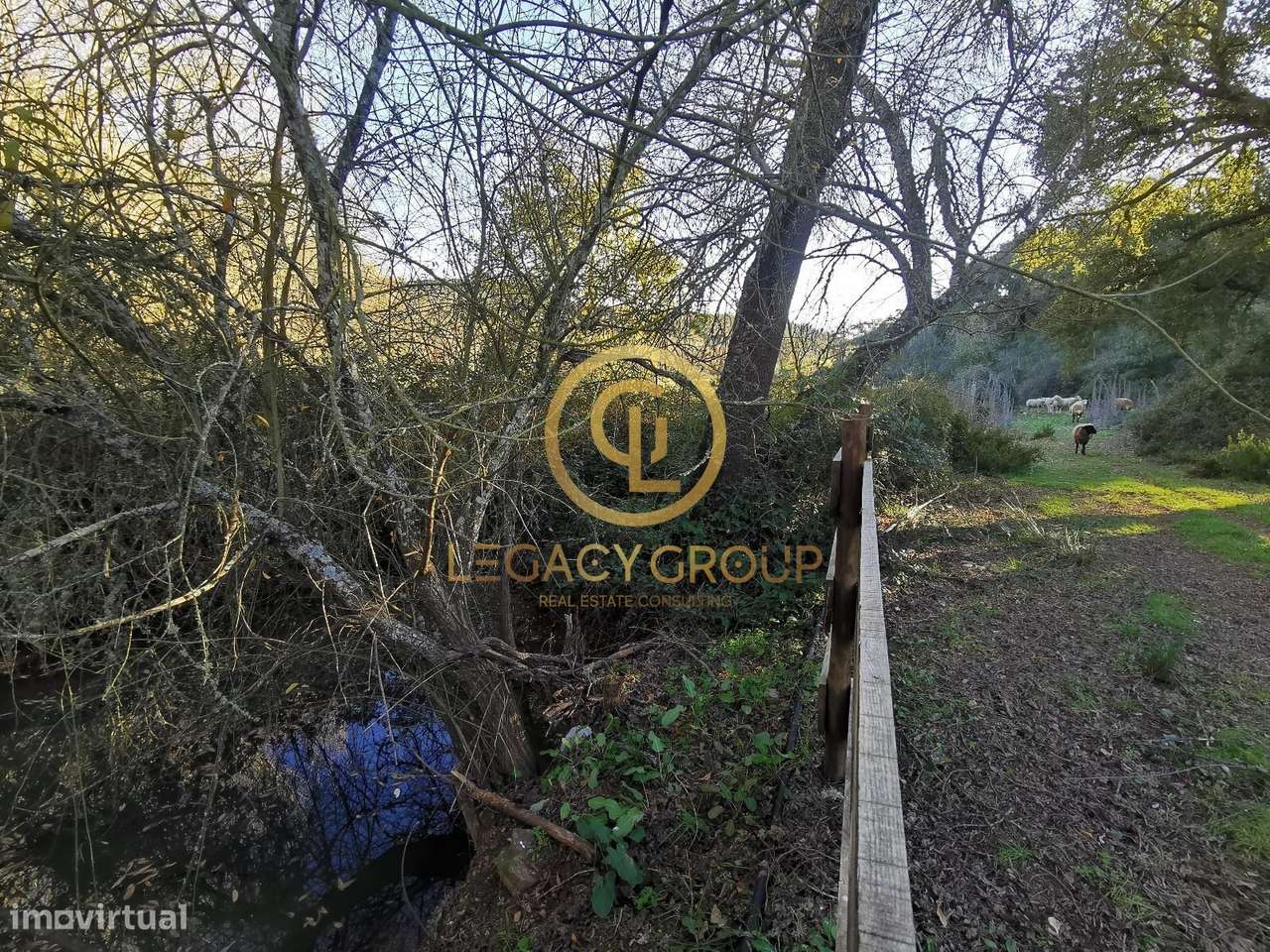 Quinta com duas ruinas em Boa Vista Dos Pinheiros, Odemira - Grande imagem: 5/16