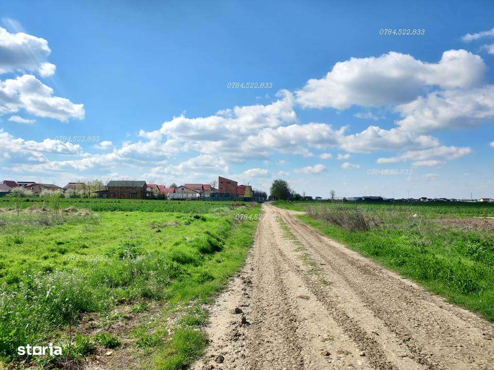 Teren intravilan 539 mp Berceni, Ilfov – RATE 36 luni, avans mic - Imagine principală: 4/6