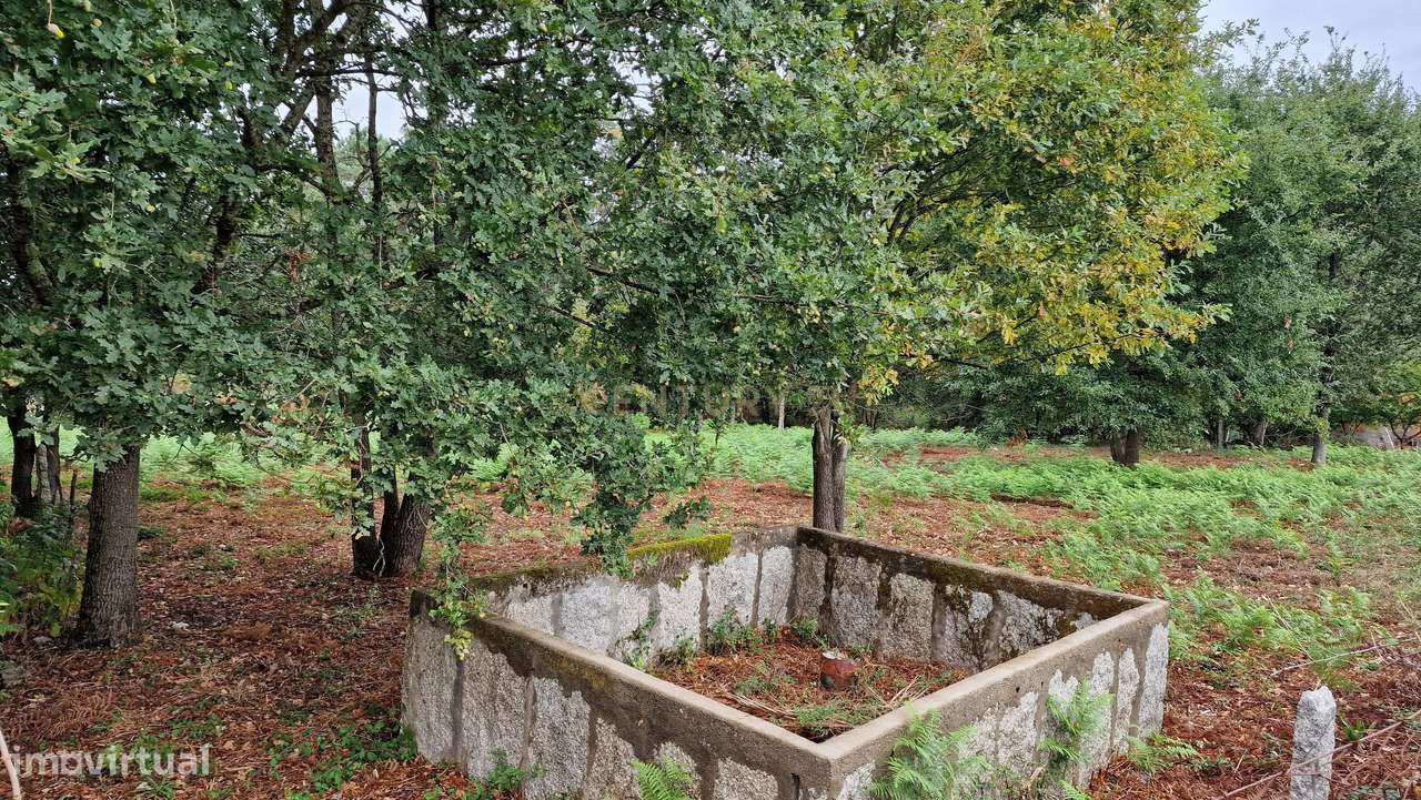 Terreno plano, com 2152m2, localizado a 5 minutos do centro de S. Pedr-7