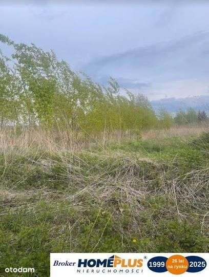 Atrakcyjna działka usługowa niedaleko centrum - Pełny obrazek: 5/5