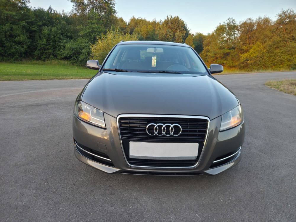 Audi A3 8P (2003-2012) 2010