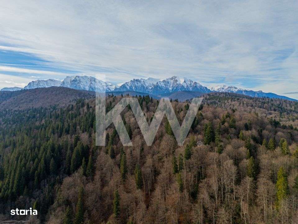 Oportunitate de investitie in Predeal-8