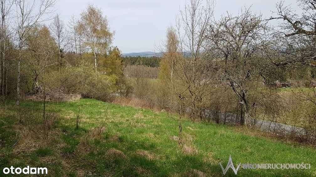 Działka | atrakcyjna | las | piękne widoki - Pełny obrazek: 2/12