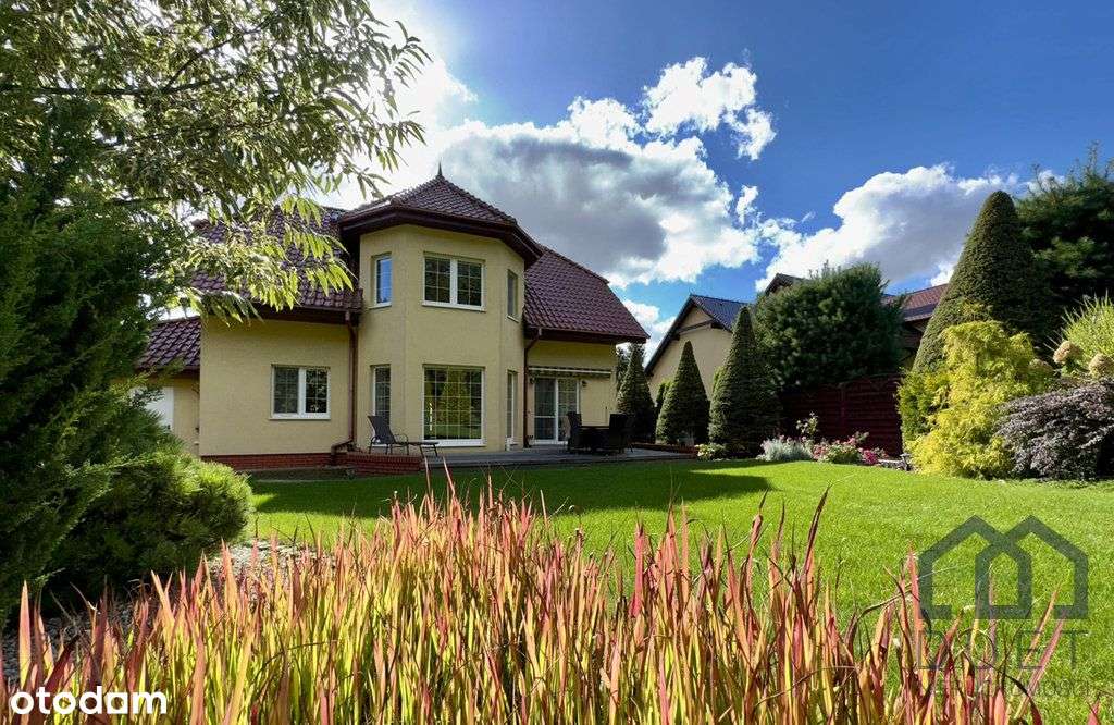 Dom pod lasem - Krosinko - komfort, wygoda, spokój-4