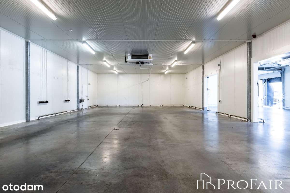 Chłodnia i mroźnia wraz z zapleczem! - Pełny obrazek: 5/7