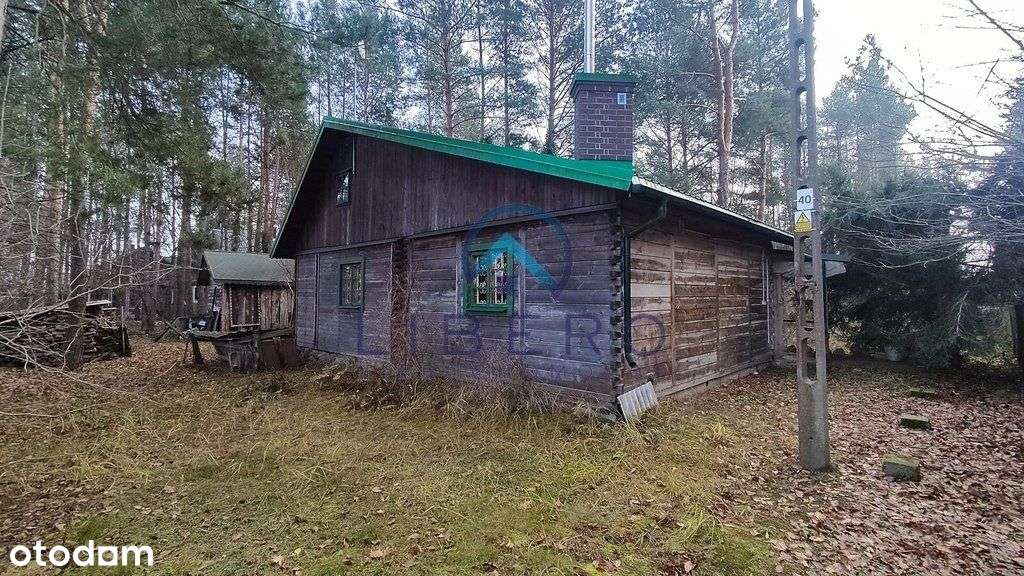 Kompaktowy, przytulny dom całoroczny blisko Narwi-13