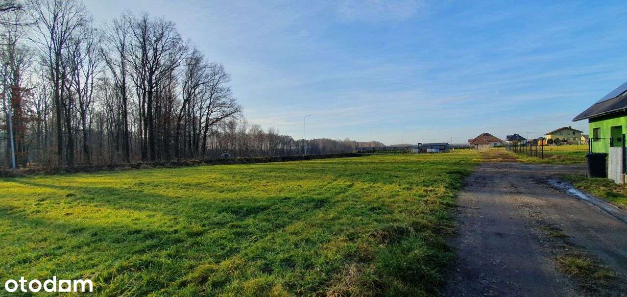 Działka budowlana 10 arów ( 8 lub 12 arów)-5