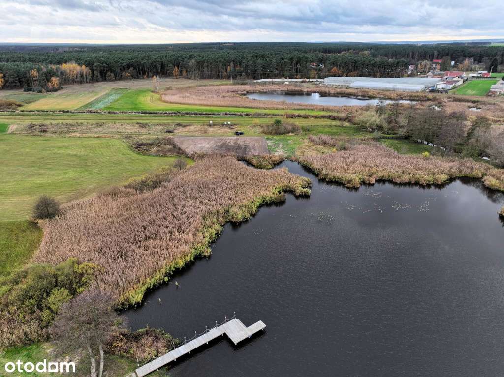 Działka z linia brzegową - dla miłośników natury! - Pełny obrazek: 5/8