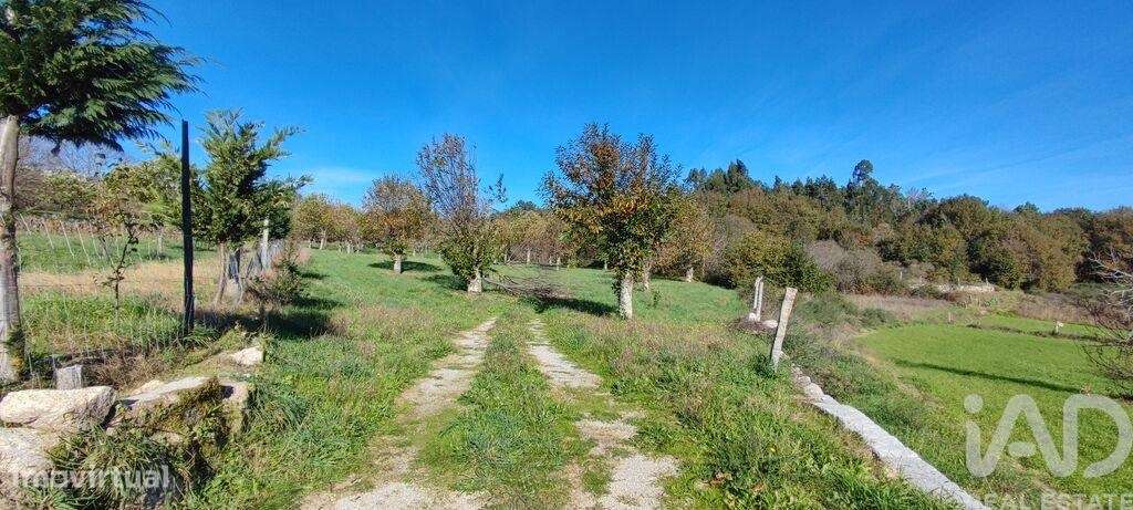 Terreno em Mões de 7026,00 m2 - Grande imagem: 4/29