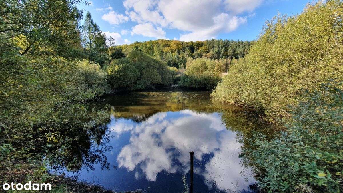 Piękna działka z "oczkiem", w sąsiedztwie zabudowa-8