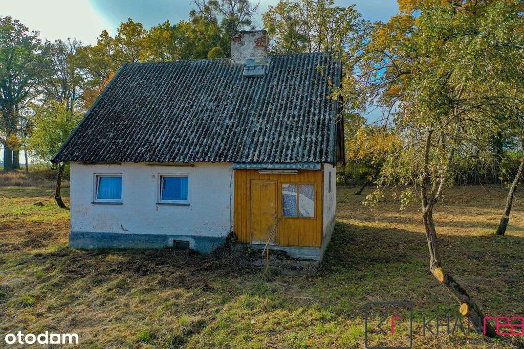 Teren inwestycyjny z linią brzegową Jezioro Mamry - Pełny obrazek: 5/12