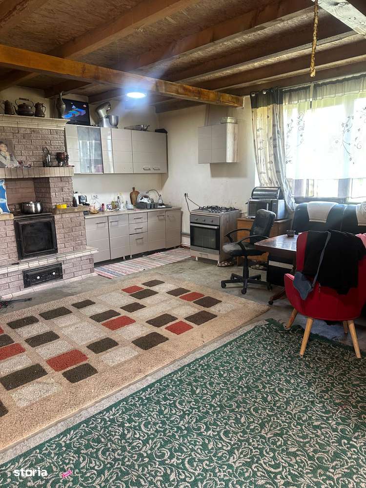 De vanzare casa cu iaz proprius, suprafata Teren 1000 mp - Imagine principală: 5/11