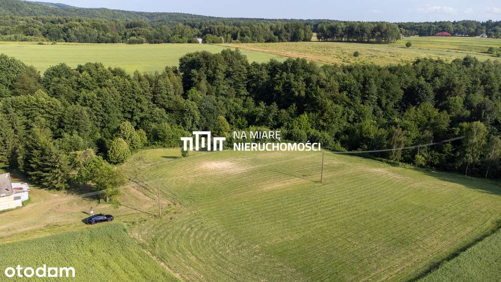 WZ I Media I Spokojna okolica - Pełny obrazek: 4/9