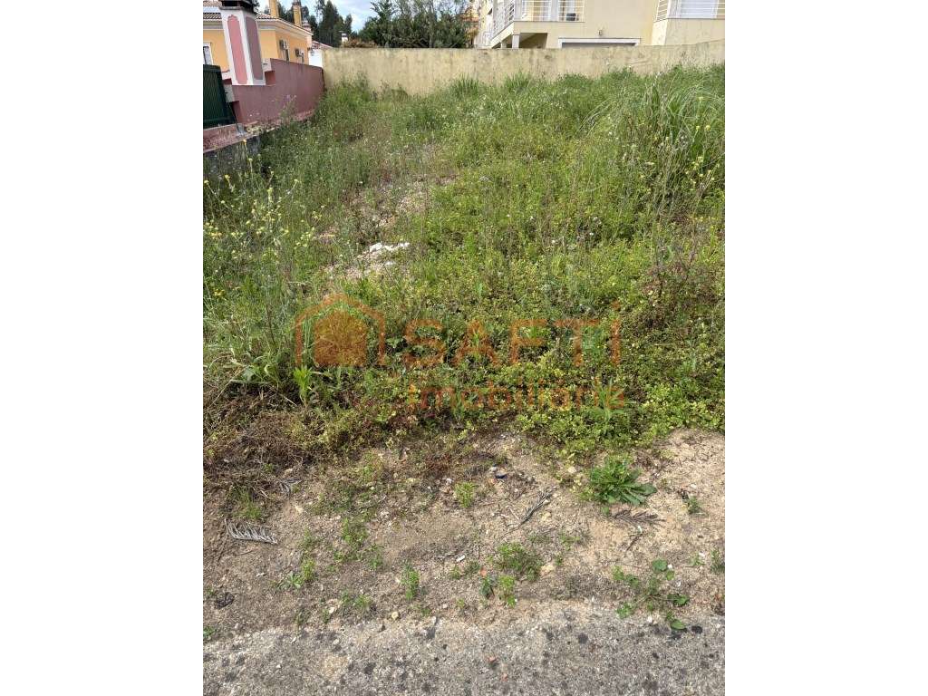 Terreno Urbano - Grande imagem: 4/8