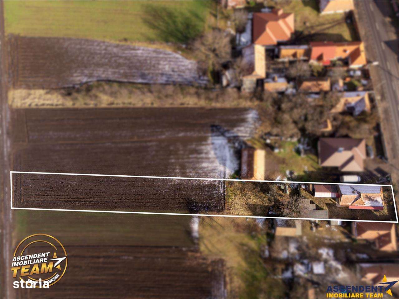 Proprietate pe 1.800 mp teren, avantaje alese, in vecinatatea orasului - Imagine principală: 4/20