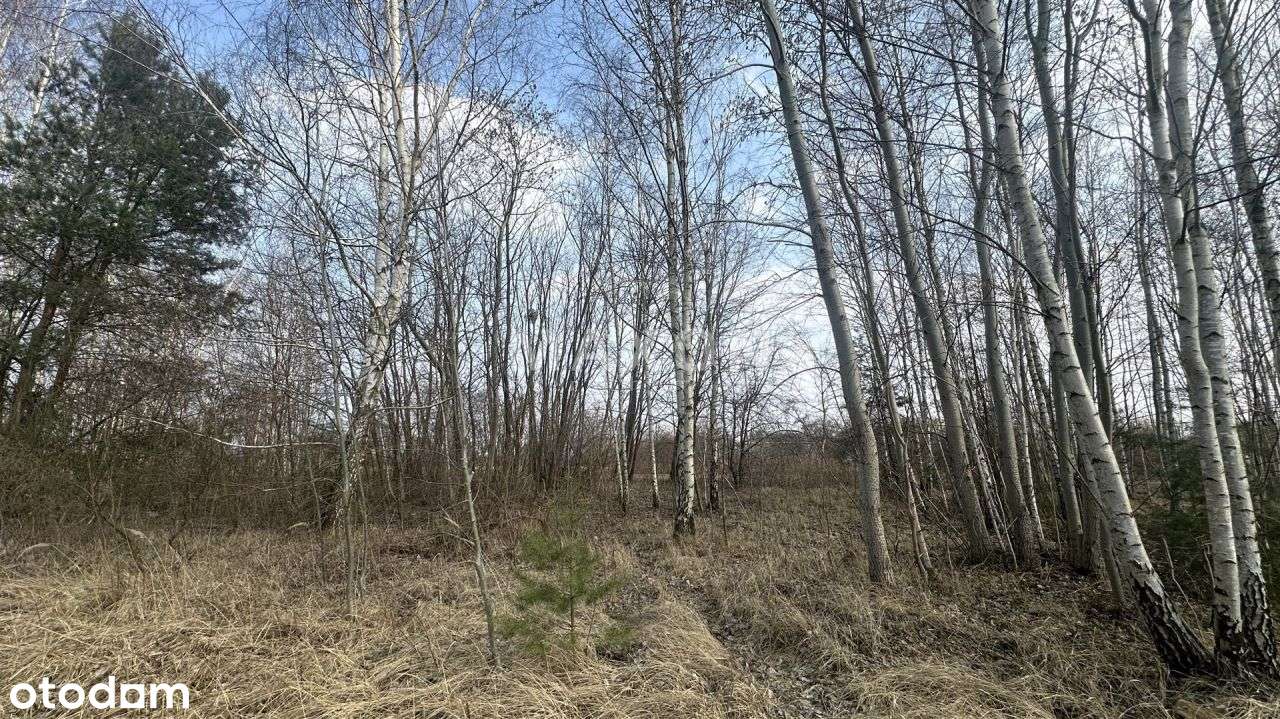 1085 mkw. koło Kampinosu Wz w trakcie - Pełny obrazek: 5/15