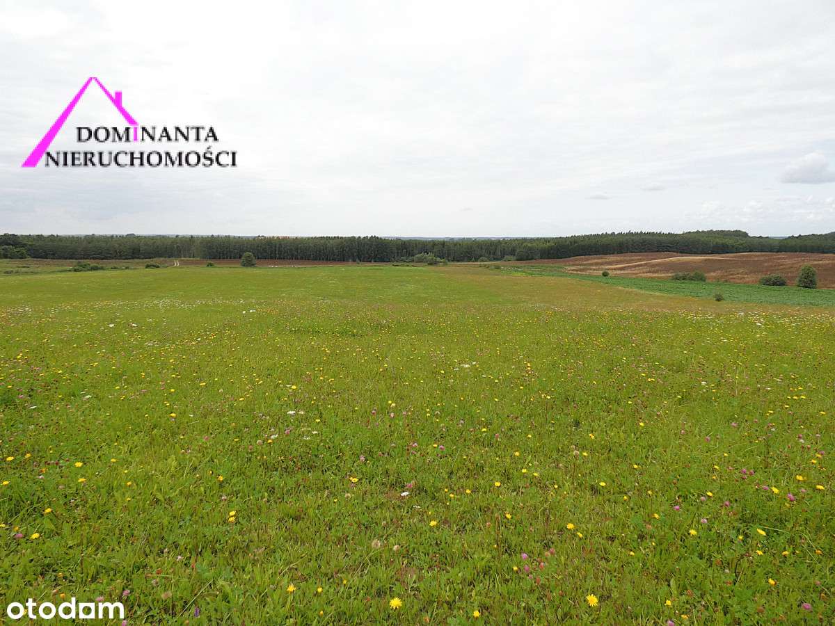 Działki rolne blisko lasu na Mazurach, 10 ha.-16