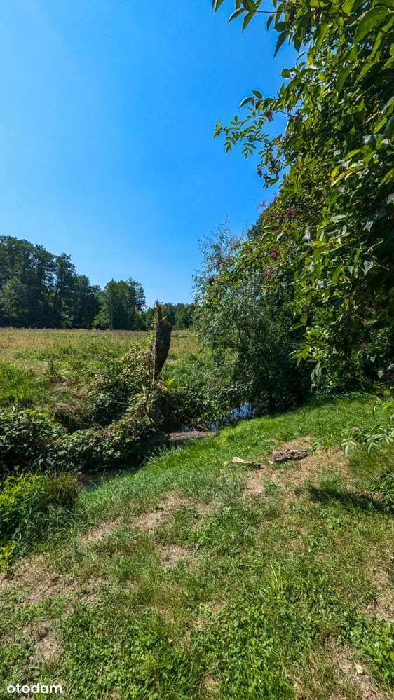 Pół domu z ogrodem *przy Hali Targowej *Kielce - Pełny obrazek: 5/18