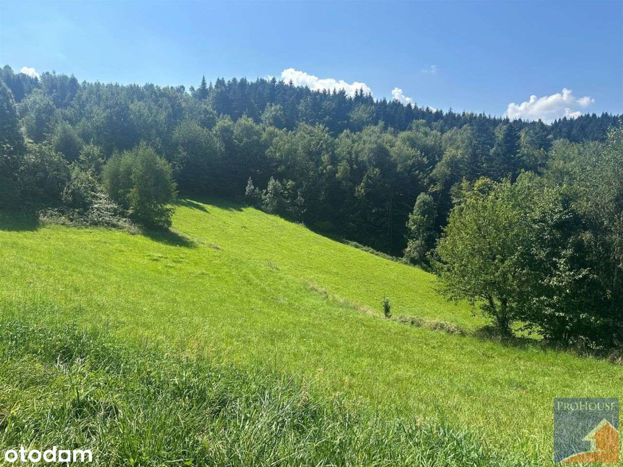 Dom, 100 m², Koszary-3