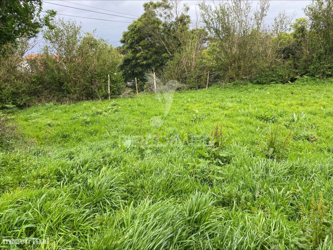 Terreno Rústico, Norte Grande - Grande imagem: 4/21