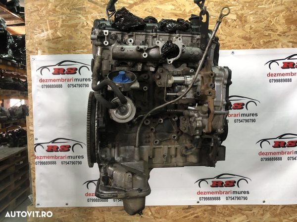 Motor YD25DDTI Nissan Navara 2.5 Automat euro 5 - 1