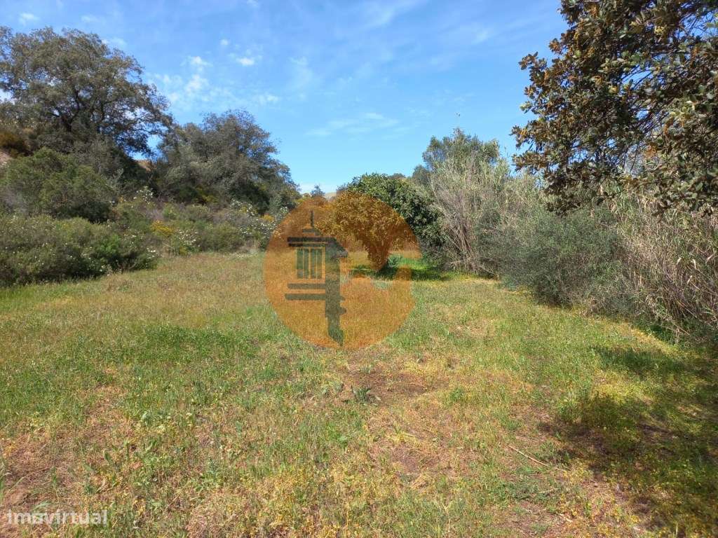 TERRENO RUSTICO COM 2.320 M2 - PLANO - ÁGUA - ELETRICIDADE - PISA B... - Grande imagem: 5/60