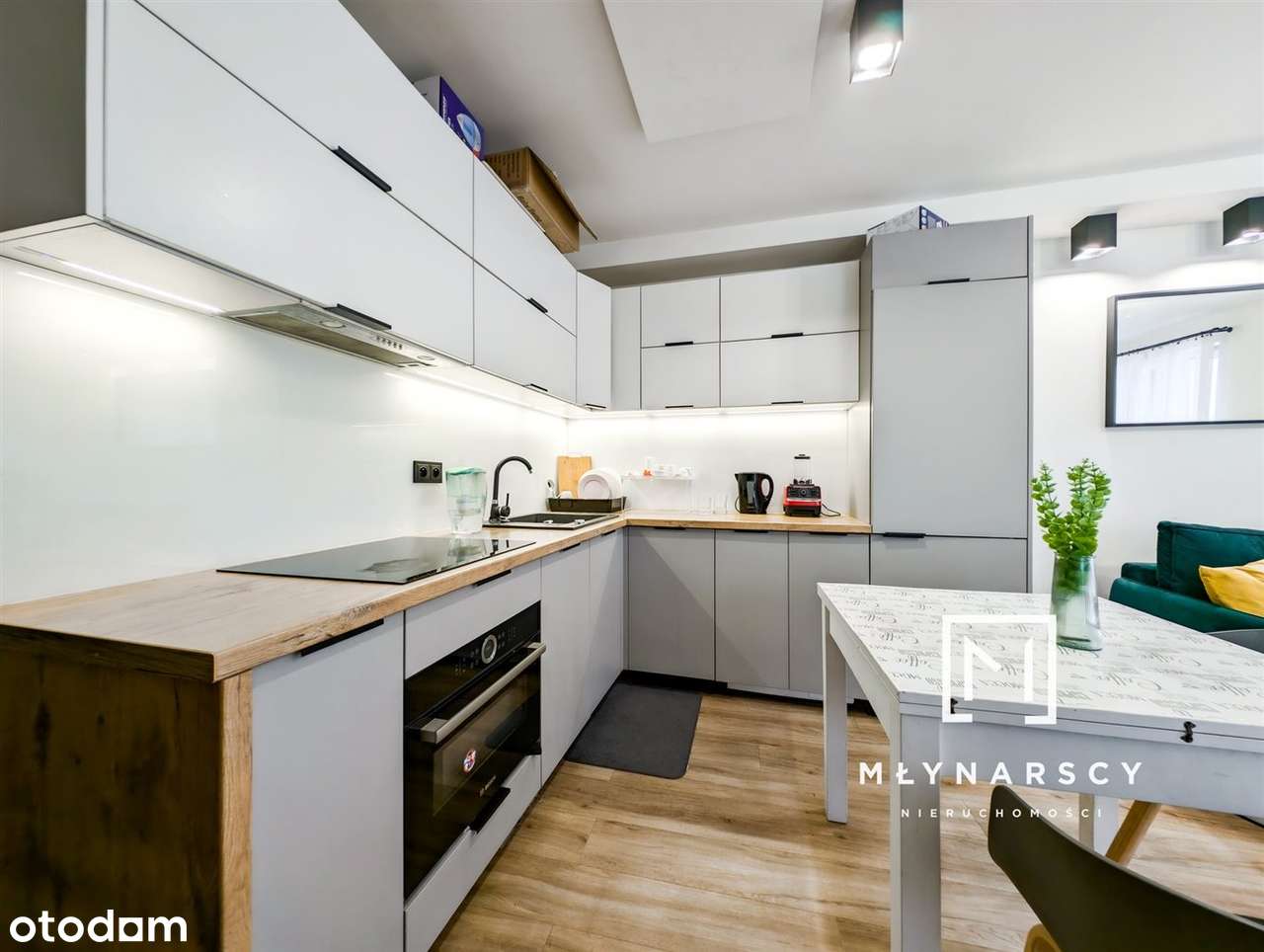 Gotowiec inwestycyjny | Trzy mieszkania | Centrum - Pełny obrazek: 5/19