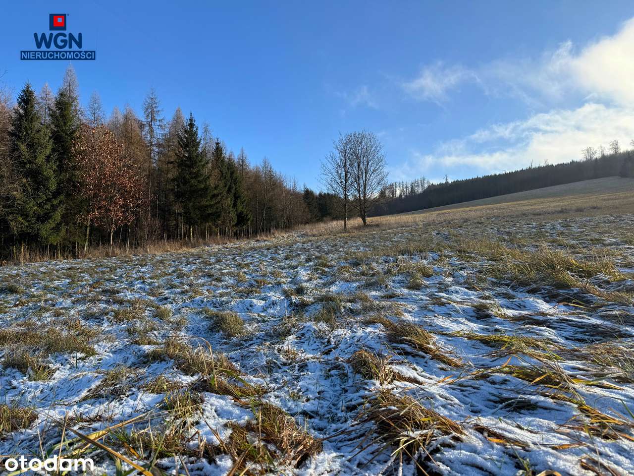 Działka budowlana z pięknymi widokami pod lasem.-13