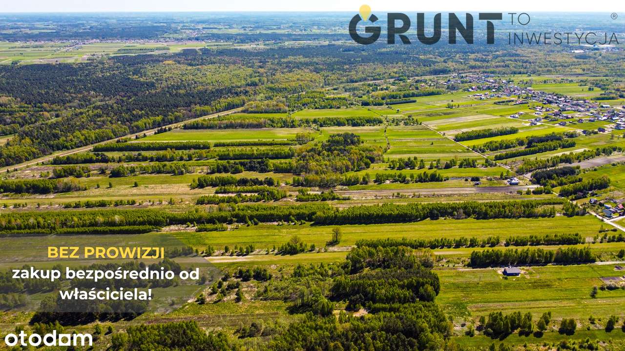 Działki budowlane - przy ścianie lasu - Pełny obrazek: 5/10