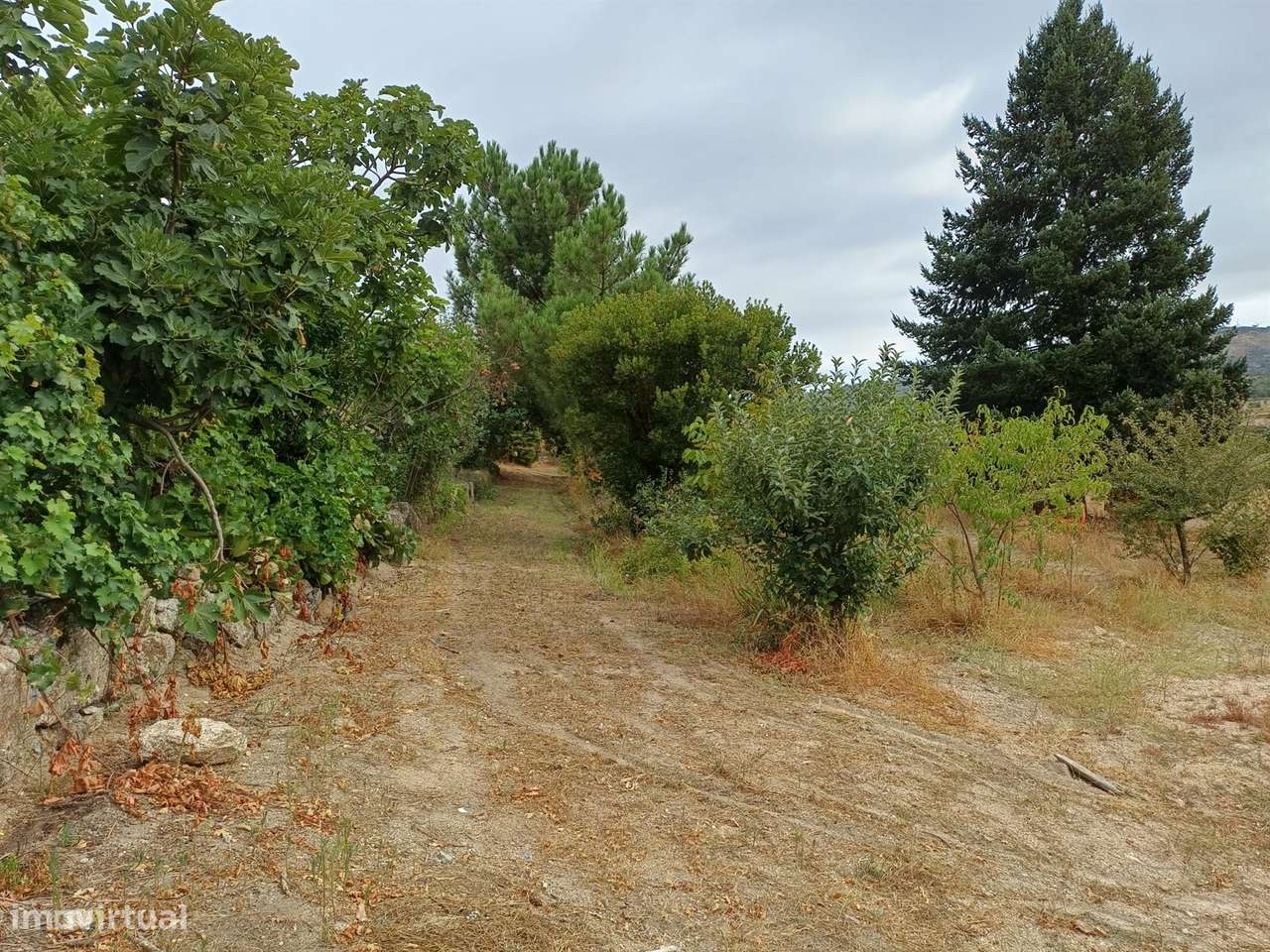 Propriedade com 2 casas-26