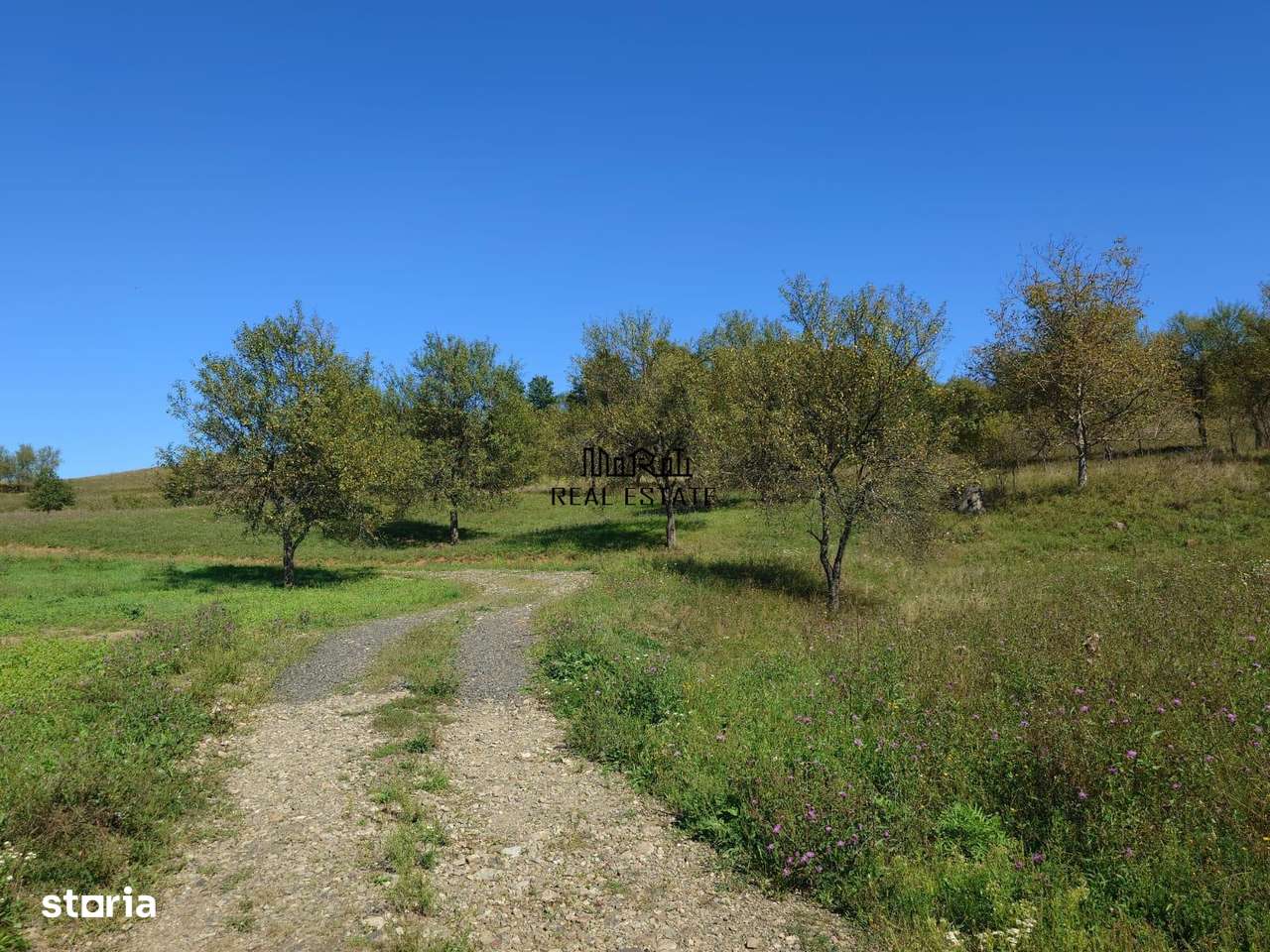 Teren intravilan 8757 mp cu potential turistic si acces direct la E79-6