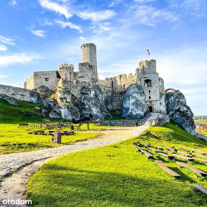Ostatnia działka budowlana w lesie- 2173 m2 - k. Zamku Ogrodzieniec-7